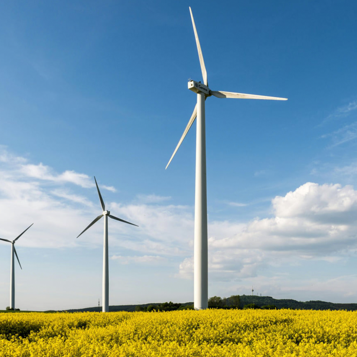 Sustainable wealth inspiration