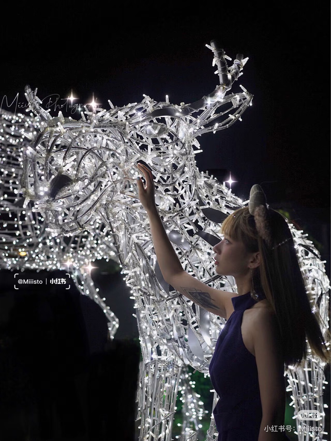 Shine Forest installation 2
