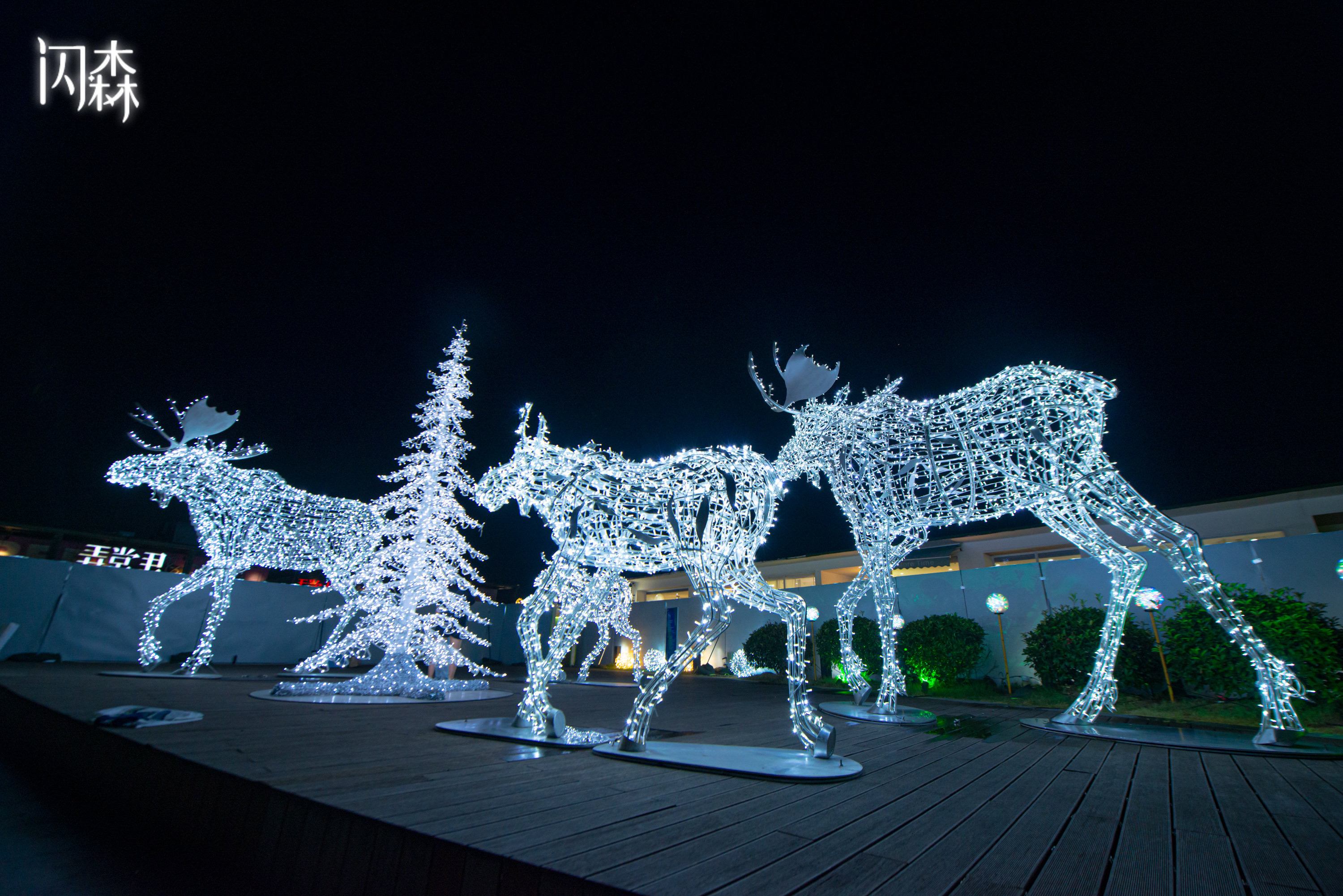 Shine Forest installation 3