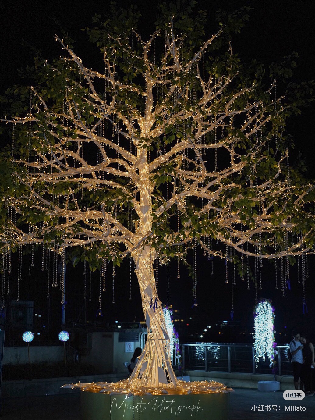 Shine Forest installation 4