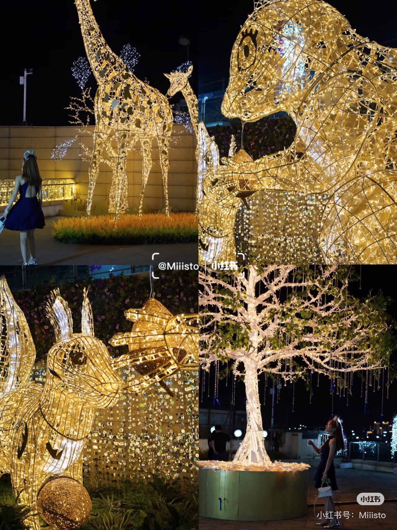 Shine Forest installation 7